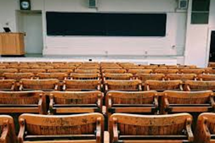 كلية الدراسات الإجتماعية